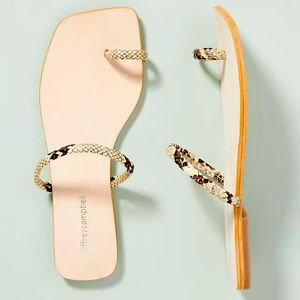 Brand New Jeffrey Campbell Darby Leopard Print Sandals